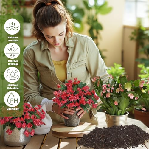 Doter Christmas Cactus Potting Soil Mix 4qt, Ideal for Succulents, Christmas Cacti, and Other Indoor Potted Plantings - size: 4qt