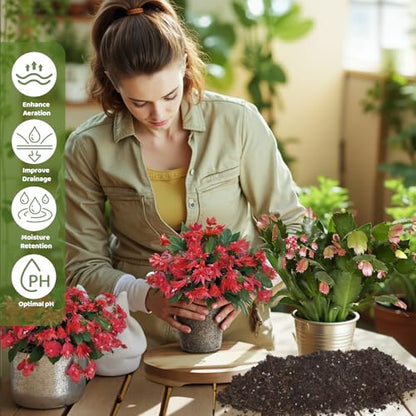 Doter Christmas Cactus Potting Soil Mix 1qt, Ideal for Succulents, Christmas Cacti, and Other Indoor Potted Plantings - size: 1qt