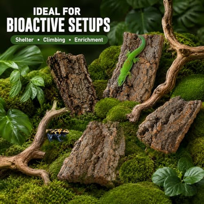 SHINEOFI Cork Bark for Reptiles, 4Pcs Natural Reptile Hide and Basking Platform Tree Bark Decor for Terrarium Gecko Lizard Snake Tortoise Enclosure Landscaping (Random Shapes)