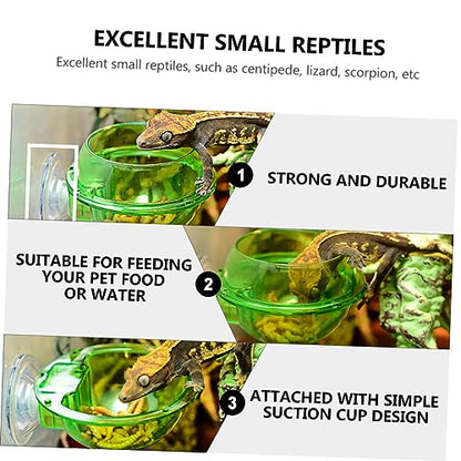 ULTECHNOVO 4pcs Reptile Feeding Bowl with Cup Escape Dish for Lizards Geckos Bearded Dragons Easy to Pet Water Food Dish for Reptiles - color: Green 4pcs