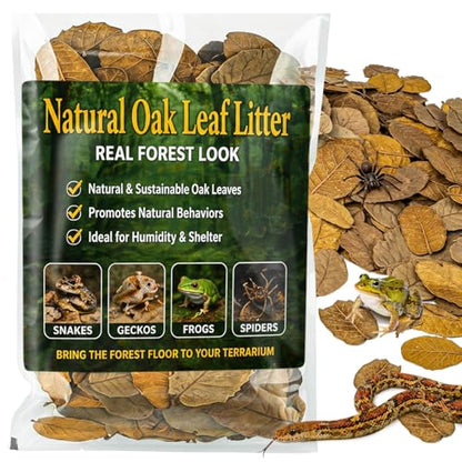 MAQIHAN Dry Oak Leaf Litter for Reptiles – 5 oz Whole Natural Oak Leaves Substrate for Isopods & Bioactive Terrarium Forest Floor Habitat, Premium Enclosure Bedding - size: 5 OZ