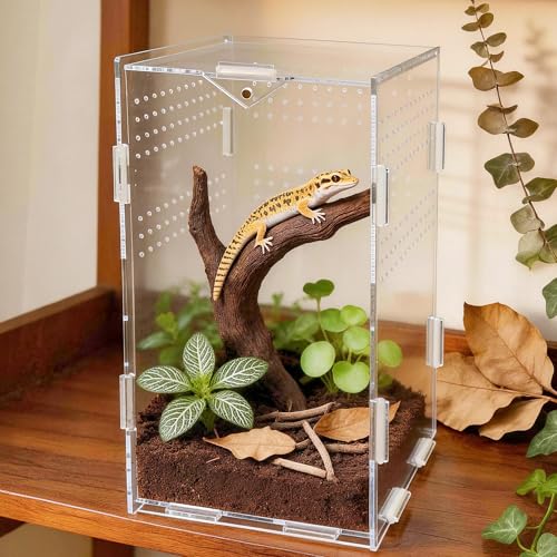 Portable Travel Jumping Spider Enclosure, Acrylic Terrarium for Spider, Magnetic Lock Spider Habitat & Small Terrarium Ventilated for Tarantula,Mantis,Frog,Insect Enclosure cage (5.9×5.9×9.8 Inch) - size: 5.9×5.9×9.8 Inch