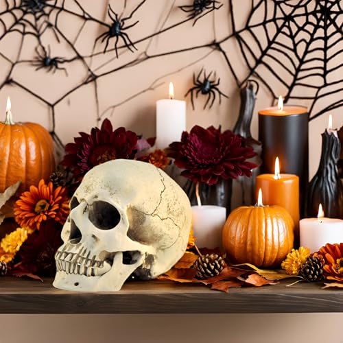1:1 Resin Skull Head Model Simulation Skeleton Head Medical Skull Art Copy for Halloween Decor