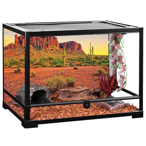 AWERT 24x12 inches Reptile Habitat Background Sky Oasis Mountain Cactus Sun and Desert Terrarium Background Durable Polyester Background - size: 24x12in/60x30cm