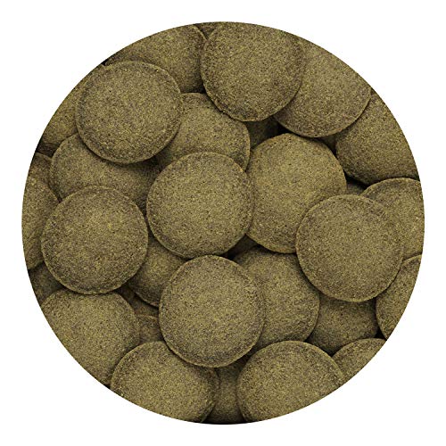 Hikari Algae Wafers for Pets, 2.2-Pound