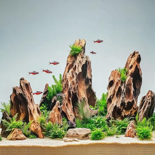 6.6LB Dragon Stone Rock for Aquascaping,Aquarium Decor, Fish Tank Decorations,4-10 Inches Natural Ohko Stone for Fish Tank Landscaping - size: 6.6 Pounds