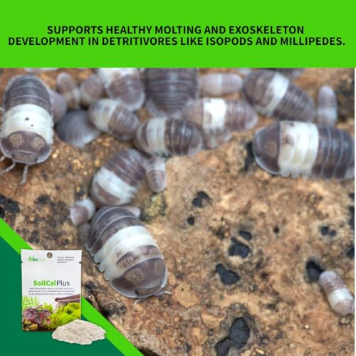 The Bio Dude Soil Cal Plus - Bioactive Substrate Calcium Additive. Great for Isopods, Millipedes and Plants!