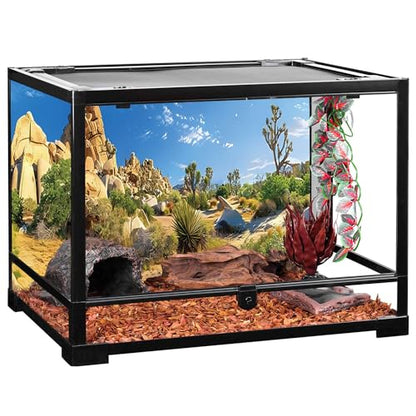 AWERT 48x24 inches Reptile Habitat Background Stone Blue Sky Oasis Cactus Sun and Desert Terrarium Background Polyester Background - size: 48x24in/120x60cm
