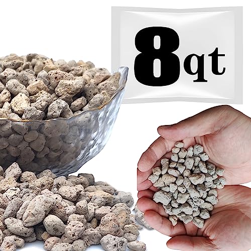 Horticultural Pumice for Plants Professional Sifted (8QT, 3/8 inch) - color: 8QT, size: 3/8 inch