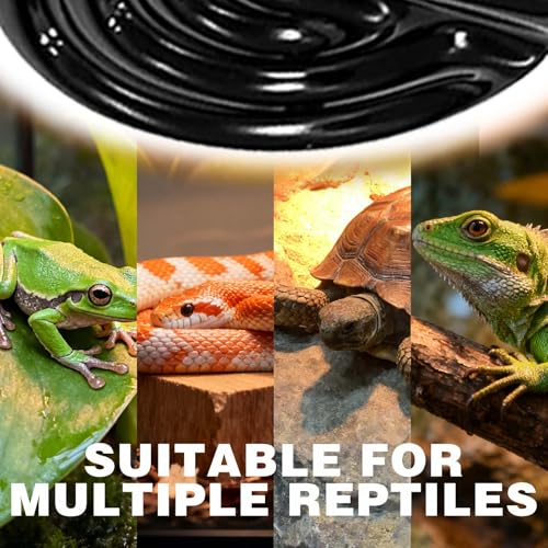 50W Ceramic Heat Emitter (2-Pack) - Reptile Heat Lamp, No Light Emitting Coil Bulb for Reptile Tanks, Terrariums, Brooders & Chicken Coops - E26 Base for Turtle, Lizard, Bearded Dragon, Snake