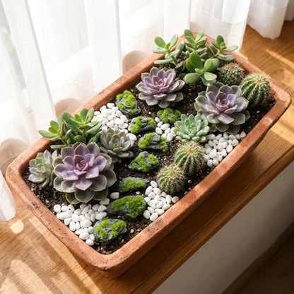 Miniature Moss Stones for Terrarium - Tree Bark Diorama Rocks for Miniature Terrain Display - Lightweight Reptile Habitat Decor - NOT for Aquarium Underwater Use - 12 Pcs Flocking-Covered (1-2 inch) - style: 12P Flocking Slate Rocks (Wooden)