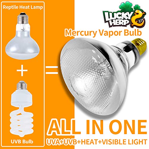 LUCKY HERP 100 Watt UVA UVB Full Spectrum Vapor Heat Lamp Bulb, Self-Ballasted UV Heat Lamp/Bulb/Light for Reptile and Amphibian, Sun Lamp for Bearded Dragon Lizard Turtle(Coated) - style: 100W Coated