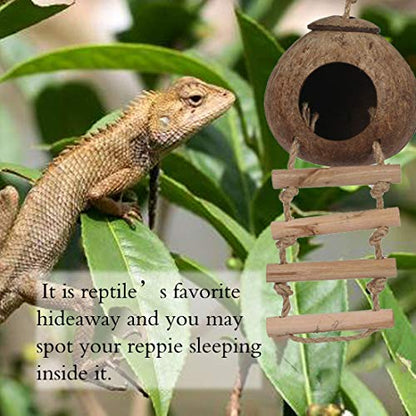 Hamiledyi Lizard Coco Den Reptile Hideouts Gecko Coconut Shell Hut Coconut hut for Geckos Bearded Dragon Tank Accessories Coconut Lizard Hut with Ladder - Natural Coconut Fiber