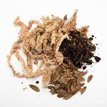 The Critters Cave Terrarium Substrate Bio Active, Isopods, Jumping Spiders, Reptiles | 4 quarts/ 1 Gallon/ 2 pounds | Organic ABG Mix