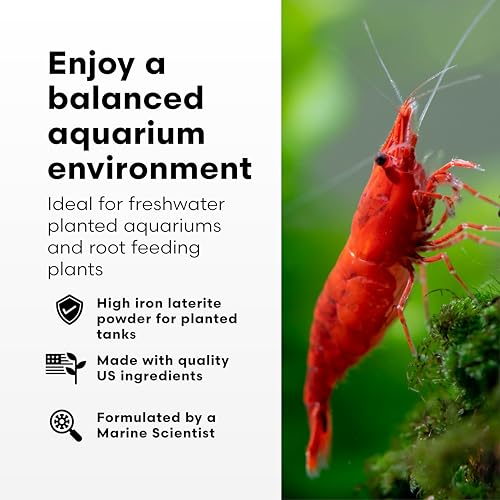 Brightwell Aquatics FlorinBase Laterite Powder – Iron-Rich Clay Substrate for Planted Aquariums – Enhances Root Growth, Plant Health – pH Neutral, 1000g - size: 1000 grams
