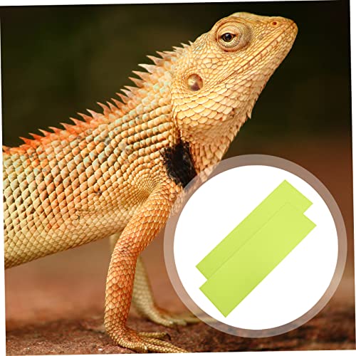 TOYANDONA 2Pcs Reptile Carpet Mat for Bearded Dragon Tank and Easy to Clean Terrarium Liner for Snakes Lizards and Turtles Habitat Flooring