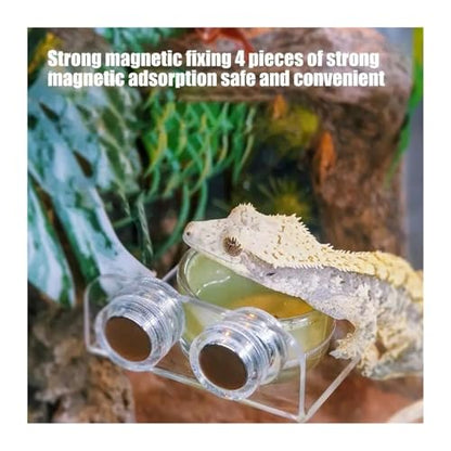 Magnetic Reptile Feeding Ledge Suction Cup Food Tray Gecko Reptile Feeding Station for Lizards Chameleons Terrarium Bowls(A) - color: A