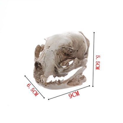 Halloween Resin Cat Skull Skeleton Model Figurine Animal Scary Skeleton Props for Home Décor Aquarium Fish Tank Landscape Collectible Teaching Prop