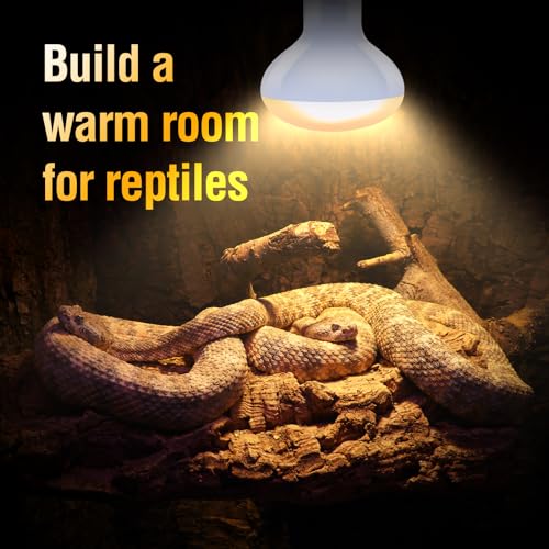 Leoterra Reptile Heat Lamp 50W Basking Spot Bulb (2 Pack) - UVA Daylight Heating for Bearded Dragon, Leopard Gecko, Turtle, Snake - E26 Terrarium Light 10-20 Gallon Winter Essential 2000+ Hours - style: B6350 Basking Light