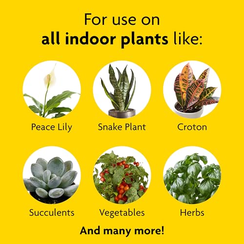Miracle-Gro Indoor Plant Food, Liquid Plant Food for Houseplants, Snake Plants, Peace Lilies, Flowers, Vegetables, Herbs and More, 8 oz., 2-Pack - size: 2 Pack