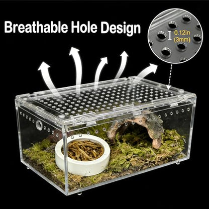 Reptile Terrarium 7.9"x 5.9" x 3.9" Small Gecko Tank Acrylic Snail Terrarium Hermit Crab Tank Spider Enclosure for Scorpion Insect Isopods Invertebrates