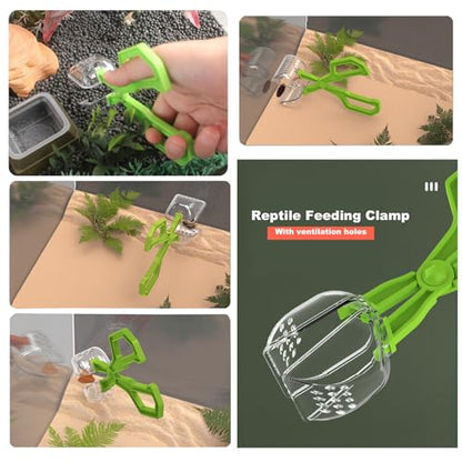 2-in-1 Reptile Feeding Water Bottle and Feeding Clamp,Automatic Feeders Bowl for Bearded Dragon Gecko Snake Lizard Turtles and Other Small Animals