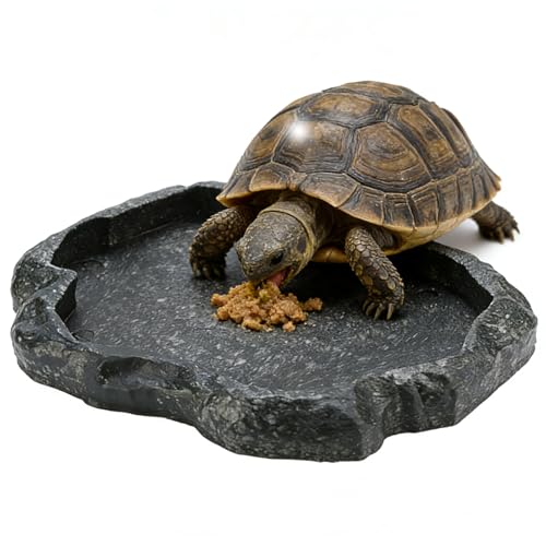Tortoise Water Bowl - Reptile Water Food Dish Medium - Shallow Rock Reptile Feeder - Pet Aquarium Ornament Terrarium Dish Plate for Feeding Water Tortoise Lizard, 7.1 * 5.5 * 0.8in