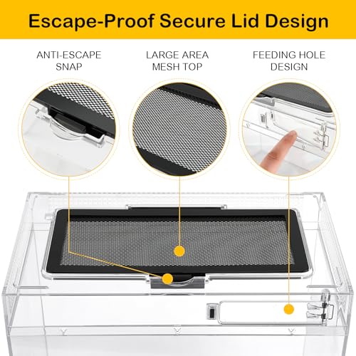 HELIME Reptile Polycarbonate Terrarium Kit 7 Piece Starter Habitat for Tarantula,Lizards,Frogs,Geckos,or Hermit Crabs,Tank with Escape-Proof Locking Lid,Light,Hygrometer,Hide,Tweezer,Bowl,Sprayer L - size: Large(15.6x8x10IN)