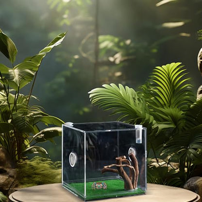 Reptile Growth Terrarium - Acrylic Jumping Spider Clear Container, Clearer View Small Pet Enclosure, Practical Convenient Spacious Habitat, Durable Housing Design Versatile Use | for Snails Lizards Be - color: Aqua