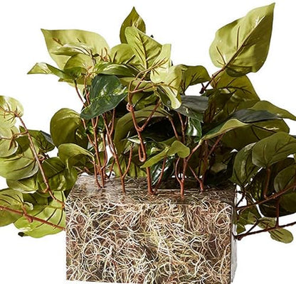 Nearly Natural 15in. Pothos Ledge Plant (Set on Foam) Silk Plant,Green