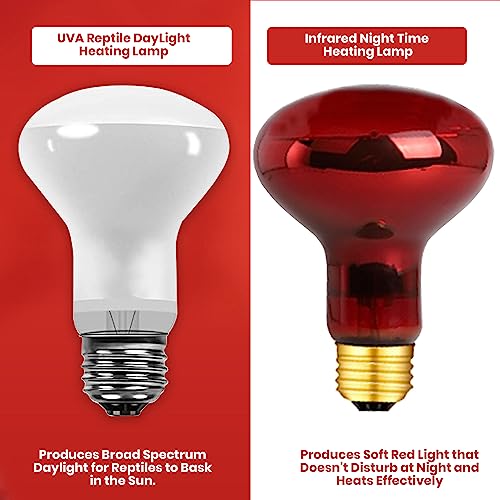 50 Watt Reptile Heat Bulb, 50 Watts UVA Basking Light Bulbs for Reptiles, Terrarium Basking Heat Lamp for Bearded Dragon,Lizard,Turtle,Snake, UVA Reptile Light Bulb E26 Base 2 Pack - style: 50WR20-WHITE-2PK