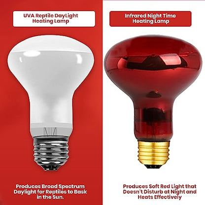 50 Watt Reptile Heat Bulb, 50 Watts UVA Basking Light Bulbs for Reptiles, Terrarium Basking Heat Lamp for Bearded Dragon,Lizard,Turtle,Snake, UVA Reptile Light Bulb E26 Base 2 Pack - style: 50WR20-WHITE-2PK