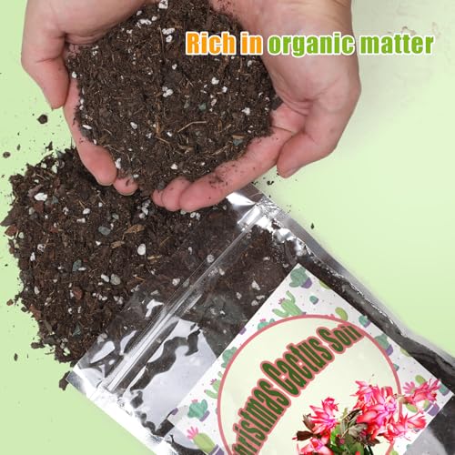 Doter Christmas Cactus Potting Soil Mix 1qt, Ideal for Succulents, Christmas Cacti, and Other Indoor Potted Plantings - size: 1qt