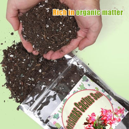 Doter Christmas Cactus Potting Soil Mix 1qt, Ideal for Succulents, Christmas Cacti, and Other Indoor Potted Plantings - size: 1qt