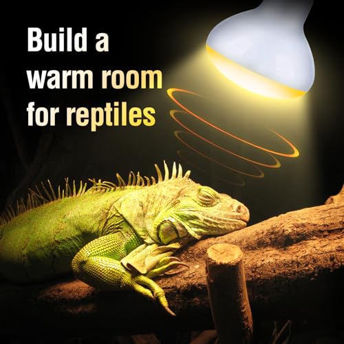 Leoterra 100W Reptile Tank Use Incandescent Night Black Heat Bulbs and 100w UVA Heat Lamp Bulbs Combo Pack E26 Base 110v Heat Lamp Bulbs for Leopard Gecko Bearded Dragon Heat lamp Long Service Life… - style: 100w