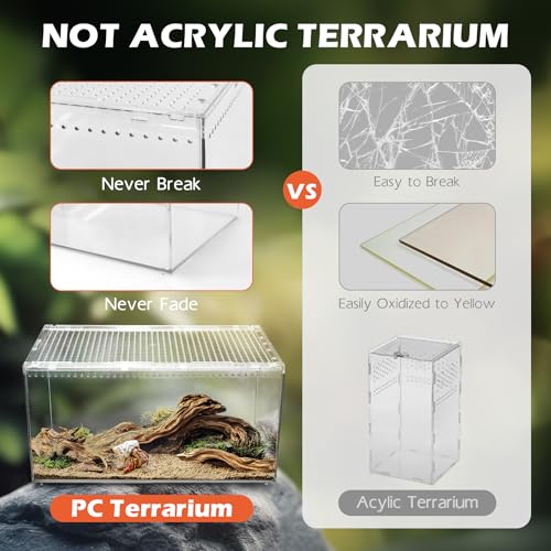 AZV Escape Proof Tarantula Enclosure,Polycarbonate Hermit Crabs Tank XLarge | Reptile Cage with Magnetic Lid,Ventilated Spider Terrarium,360° Clear View,Easy Clean Isopod Habitat for Gecko,Frogs,Insects - size: XLarge(15.74*9.84*7.87inch)