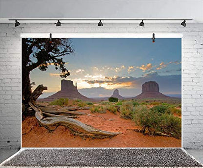Leyiyi 5x3ft Monument Valley Photography Background American National Park Navajo Tribal Park Cowboy Western Desert Weathering Rock Warship Landmark Film Backdrop Polyester Terrarium Background - color: Desert2, size: 5x3ft-P