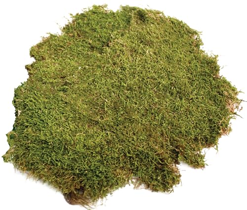 SuperMoss (21582) Sheet Moss Dried, Natural, 8oz - color: Natural Dried, size: 200 in3 Bag (Appx. 8oz)
