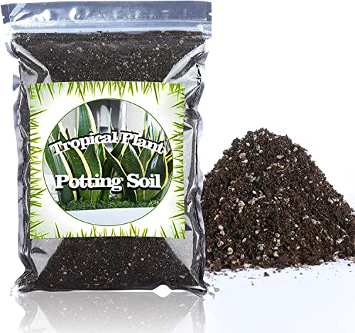 Doter Houseplant Potting Mix, Fertilized, Perlite Soil for All Types of Indoor House Plants and Tropical Plant 1 qt - size: 1qt