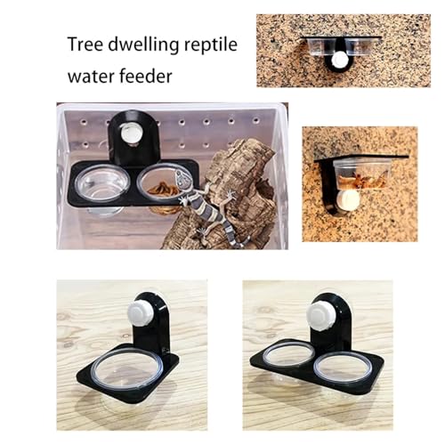 Reptile Tank Accessories Insect Spider Ants Nest Snake Gecko Food Water Feeding Bowl Terrarium Breeding Feeders Box Pets Supplie(Single bo) - color: Single bo