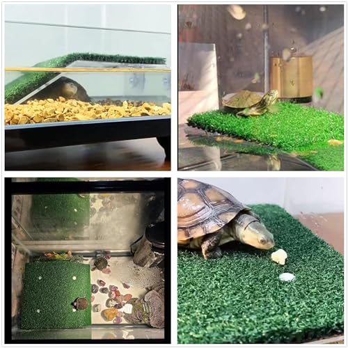 alfyng Small Turtle Resting Basking Platform, Simulation Grass Turtles Ramp, Lawn Tortoise Climbing Ladder Resting Terrace Turtle Dock Floating Décor for Reptile Frog Terrapin - size: S