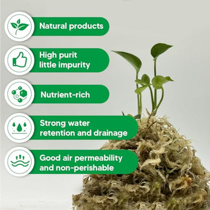 Natural Long Fiber Sphagnum Moss 1196QT for Orchid Potting Mix, and Moss Pole for Plants Indoor. Ideal for Propagating Plants, Maintaining Humidity for Reptiles, Isopods in Paludarium (22 lb) - size: 22 LB