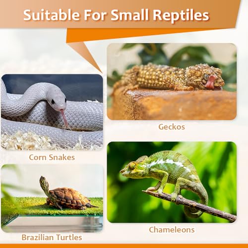 4 Pcs Reptile Food Dish Bowl Ceramic Anti-Escape Mealworms Bowl for Small Reptile Spider Lizard Gecko Frog Turtle Hermit Crab (Circle Shape, Black and White)