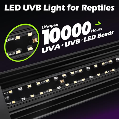 UVB Light for Reptiles 6W 9.8IN LED UVA UVB Terrarium Lamp with 4 Auto Modes for Ferguson Zones UVB Bulb with Timer for Bearded Dragon Gecko Turtle Lizard Snake Adjustable Brightness for Reptile Tank - size: 6W-9.8IN