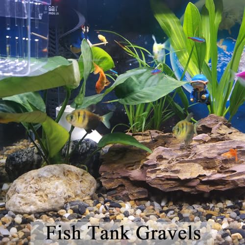 FANTIAN 40 lbs Aquarium Gravel, 1/4 Inch Fish Tank Pea Gravel, Decorative River Rocks Stone for Freshwater Tanks, Outdoor Pond, Garden, Landscaping, Terrarium, Soil Drainage - size: 1/4 Inch