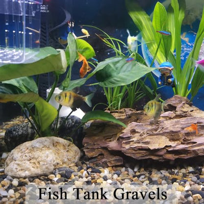 FANTIAN 40 lbs Aquarium Gravel, 1/4 Inch Fish Tank Pea Gravel, Decorative River Rocks Stone for Freshwater Tanks, Outdoor Pond, Garden, Landscaping, Terrarium, Soil Drainage - size: 1/4 Inch