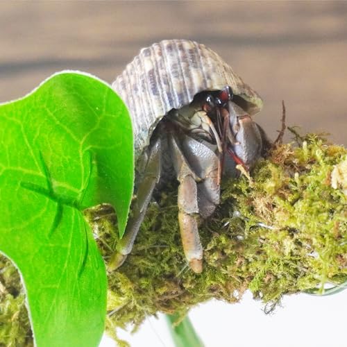 Hermit Crab Climbing Toy with Artificial Vines, 25 Inch Bendable Hermit Crab Supplies, Great Accessory for 10 Gallon Hermit Crab Tank