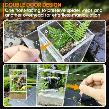 Jumping Spider Enclosure, Small Acrylic Terrarium, Magnetic Front & Top Opening, Bug Habitat for Jumping Spiders, Tarantulas, Praying Mantis, Snails (3.14" x 3.14" x 5.9") - size: Basic Vertical-Mini