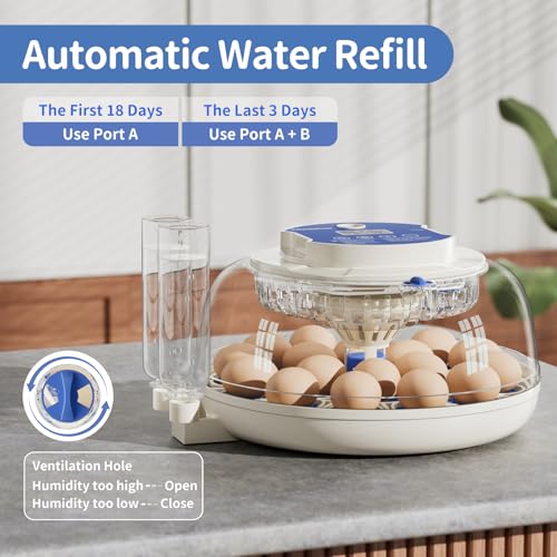 18 Egg Incubators for Hatching Eggs, Incubation Day Display, 2 Egg Trays, Automatic Egg Turning, Built-in Egg Candler, Auto Refill, Adjustable Air Vent, for Chicken, Quail, Duck, Turkey & Goose Eggs - size: 18 Eggs