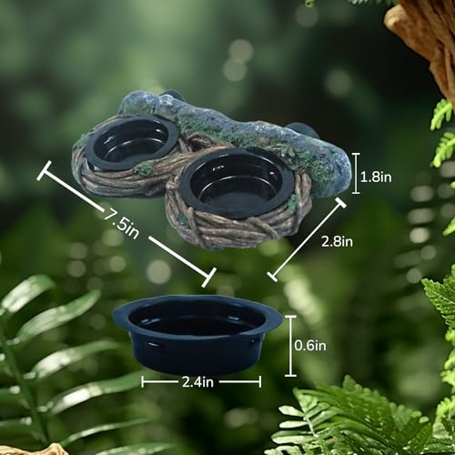 Reptile Feeding Ledge with 4 Cups, Hollow Vine Food Dish & Water Bowl for Bearded Dragon, Gecko, Lizard & Snake – Reptile Tank Accessories for Terrariums - size: Magnetic- Dual Feeder